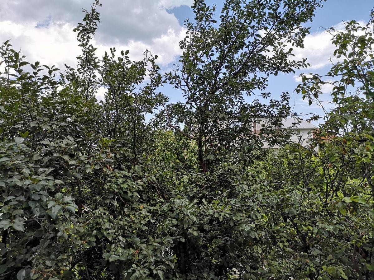 Alfa Guest Rooms With Parking Варна Екстер'єр фото